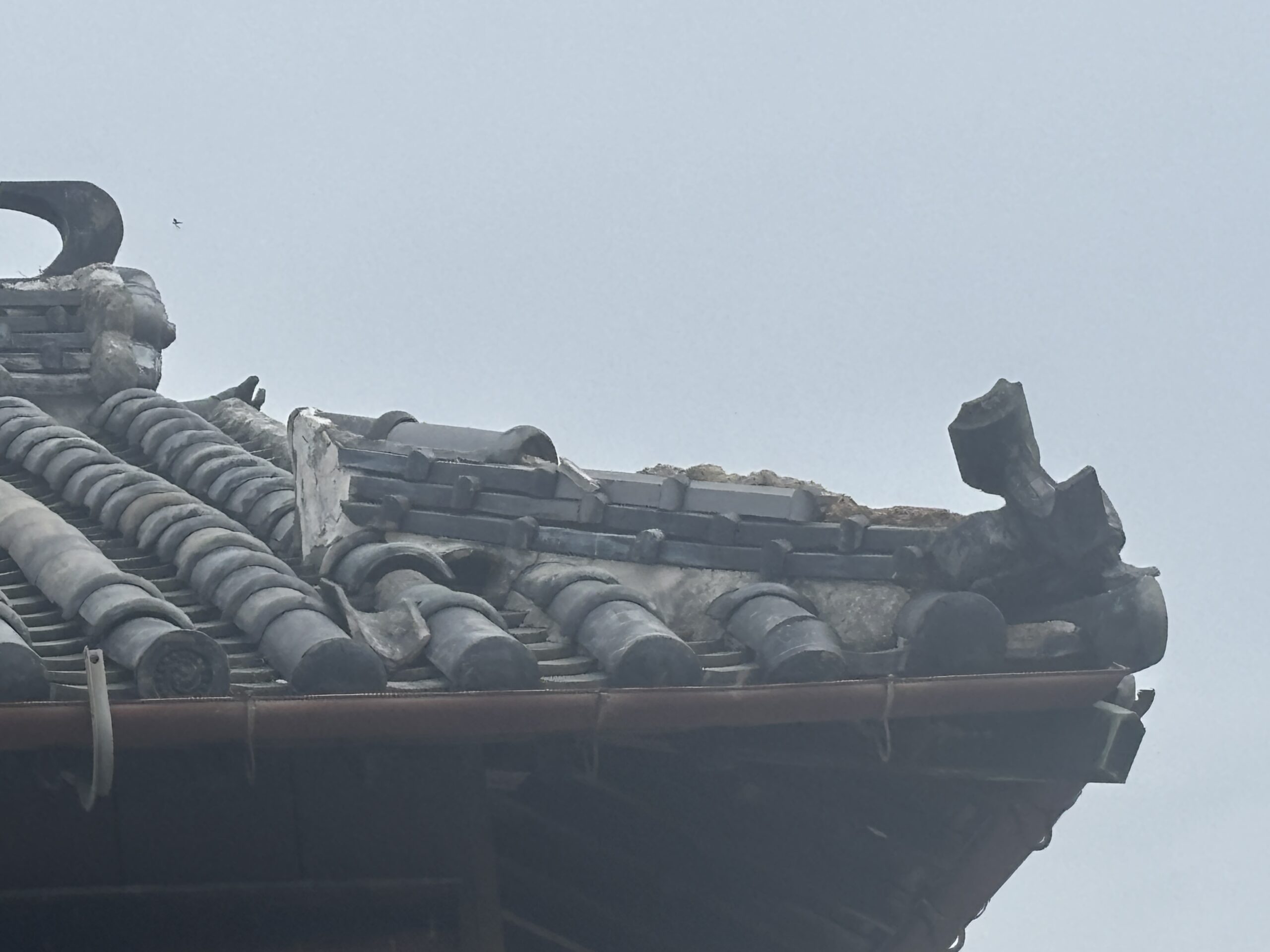 徳島　日本瓦屋根修理