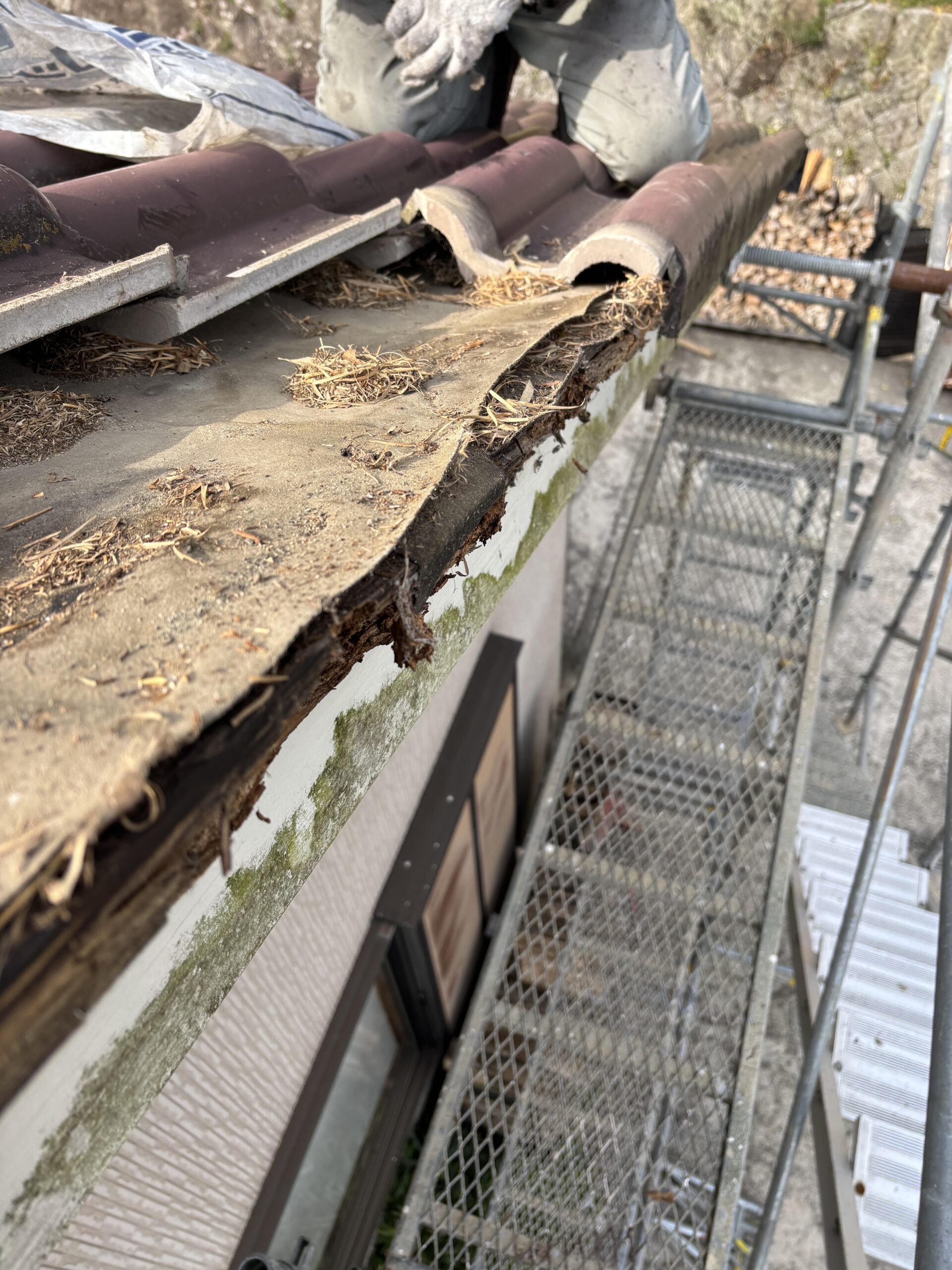 徳島　はふ瓦の下、腐り野地修理、ふき直し